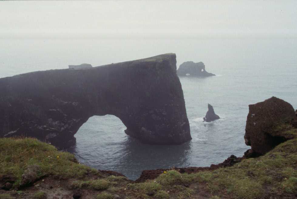 La falaise à oiseaux de Dyrhóley, le 12 août 1995