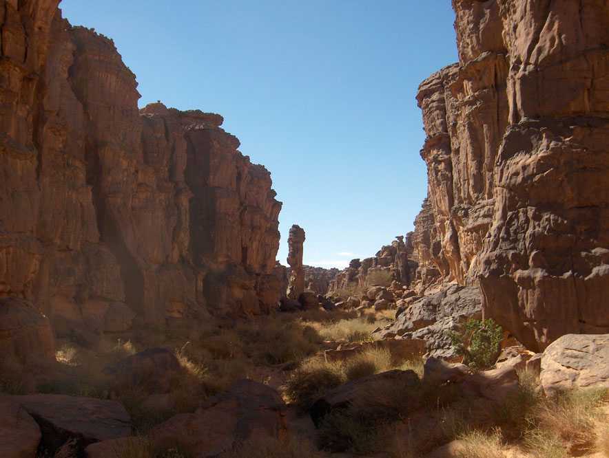 Un oued plutôt verdoyant dans le grès (12 mars 2006)