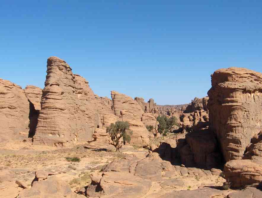 Le site de l’oued Tamrit et ses cyprès, le 16 mars 2006
