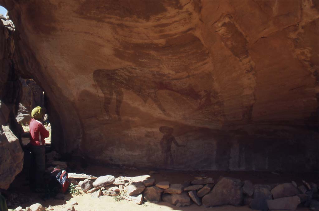 Sorte d’ours (!) sur une peinture de Tin Abateka, le 14 mars 2006