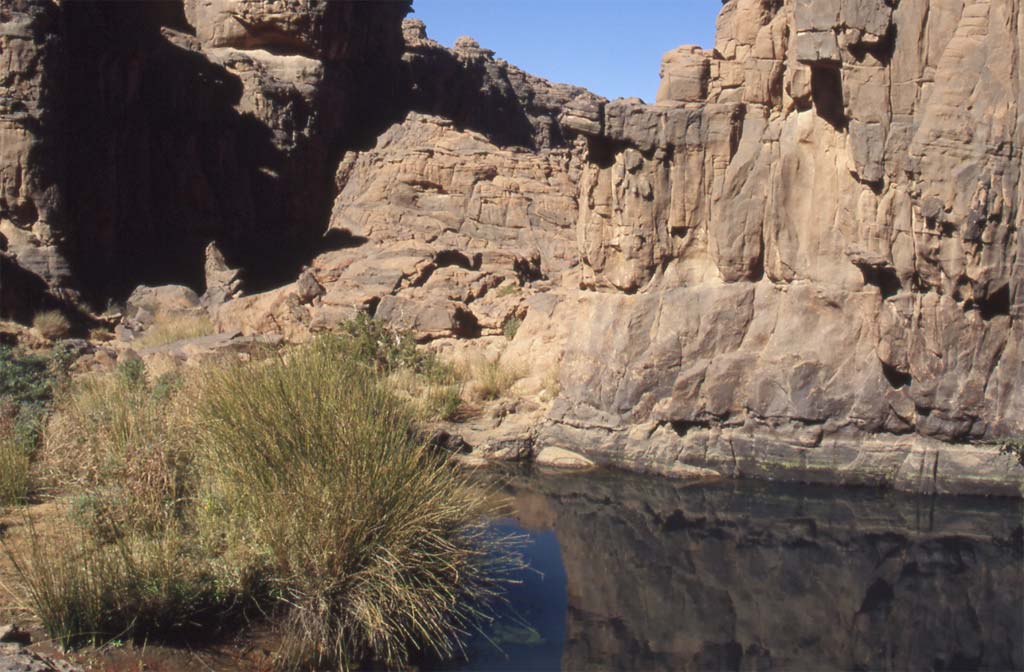 La guelta de Tinkel Ahaggar, le 12 mars 2006
