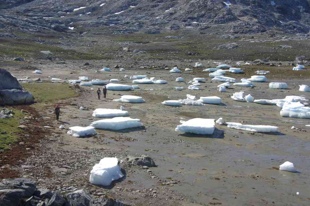 Glaçons échoués, le 12 juillet 2014