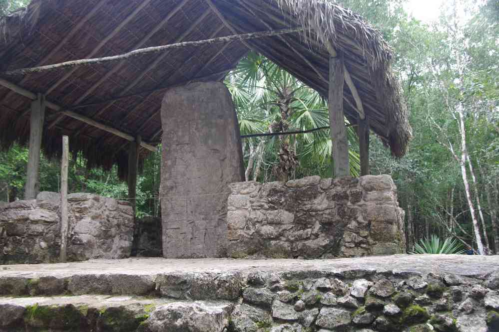 Cobá (stèle), le 26 janvier 2016