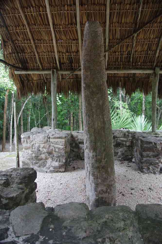 Cobá (stèle), le 26 janvier 2016
