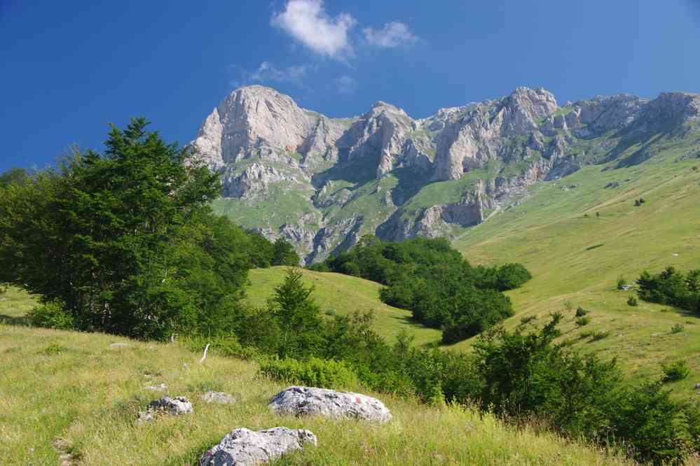 La forêt c’est fini !, le 13 juillet 2016