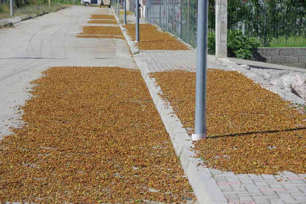 Près du tumulus de Kamenicë, le 18 juillet 2016