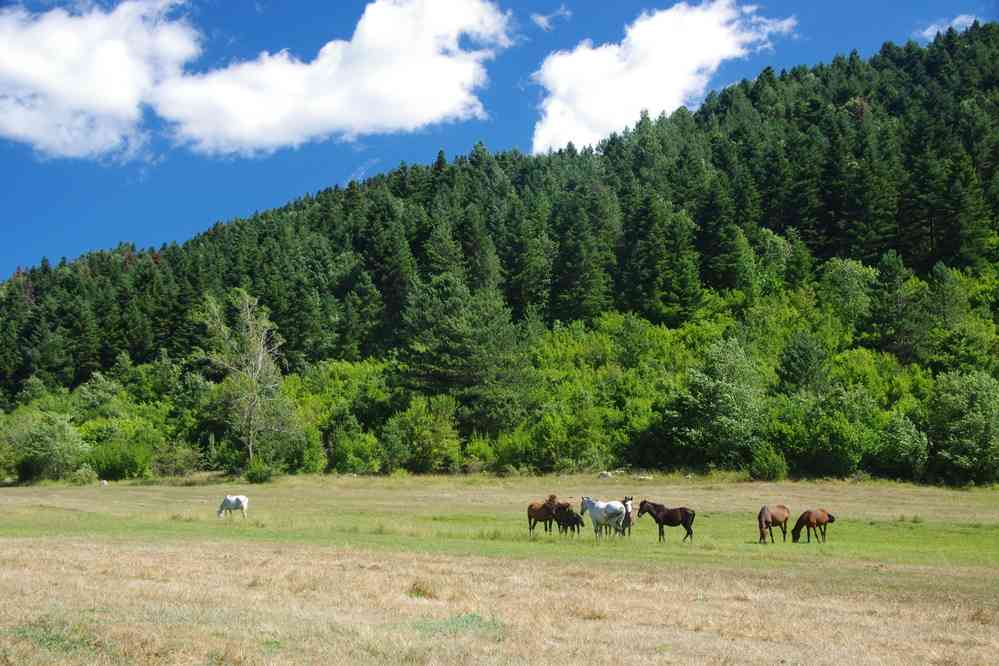 Départ pour une randonnée de l’après-midi, le 18 juillet 2016