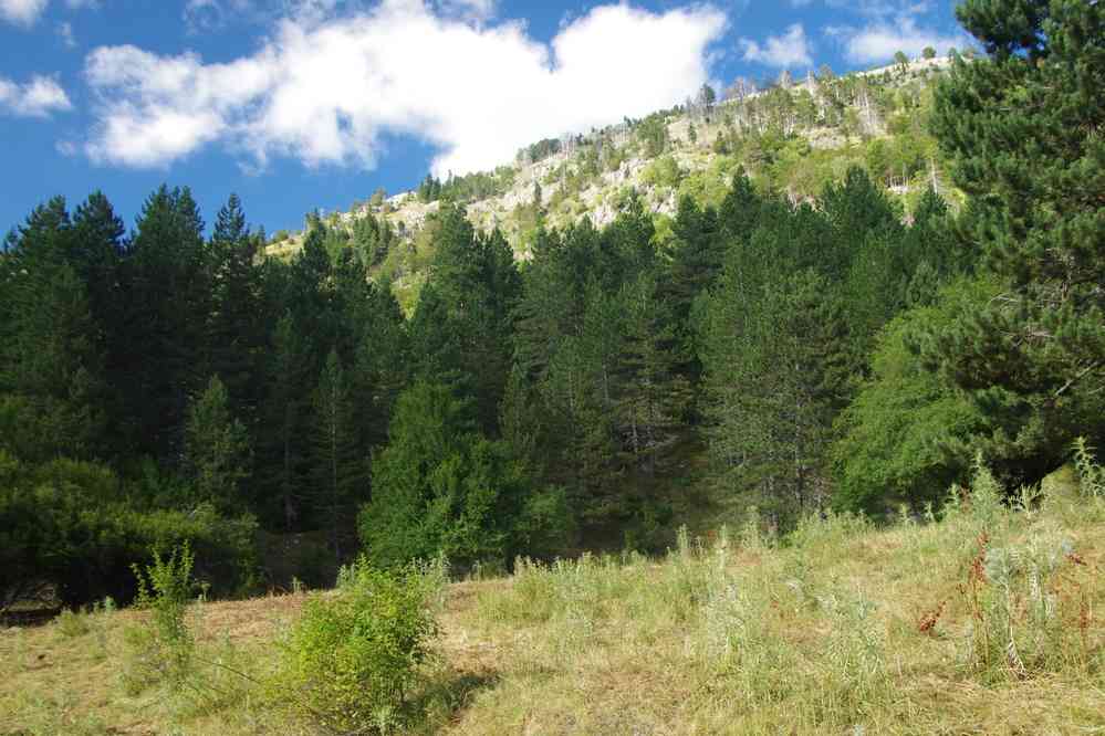 Randonnée près de Sotira, le 18 juillet 2016