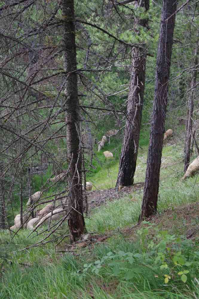 Randonnée près de Sotira, le 18 juillet 2016