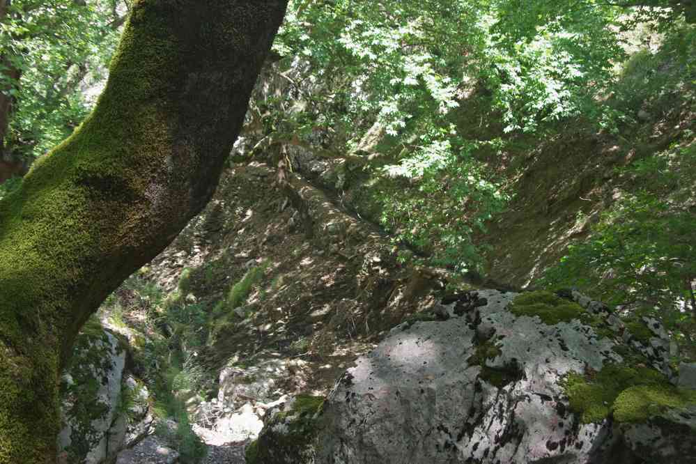 Canalisation des eaux de la cascade (19 juillet 2016)