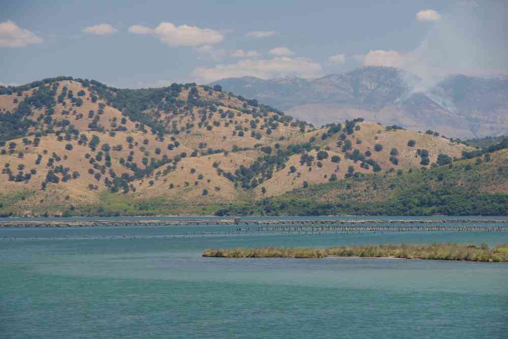 Butrint (Buthrote (Buthrotum), Βουθρωτόν), parc à moules/huîtres, le 21 juillet 2016