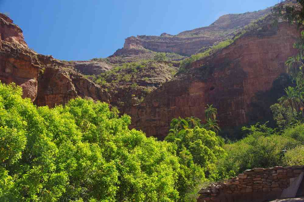 Végétation abritant l’église de Maryam Papasati, le 13 janvier 2017