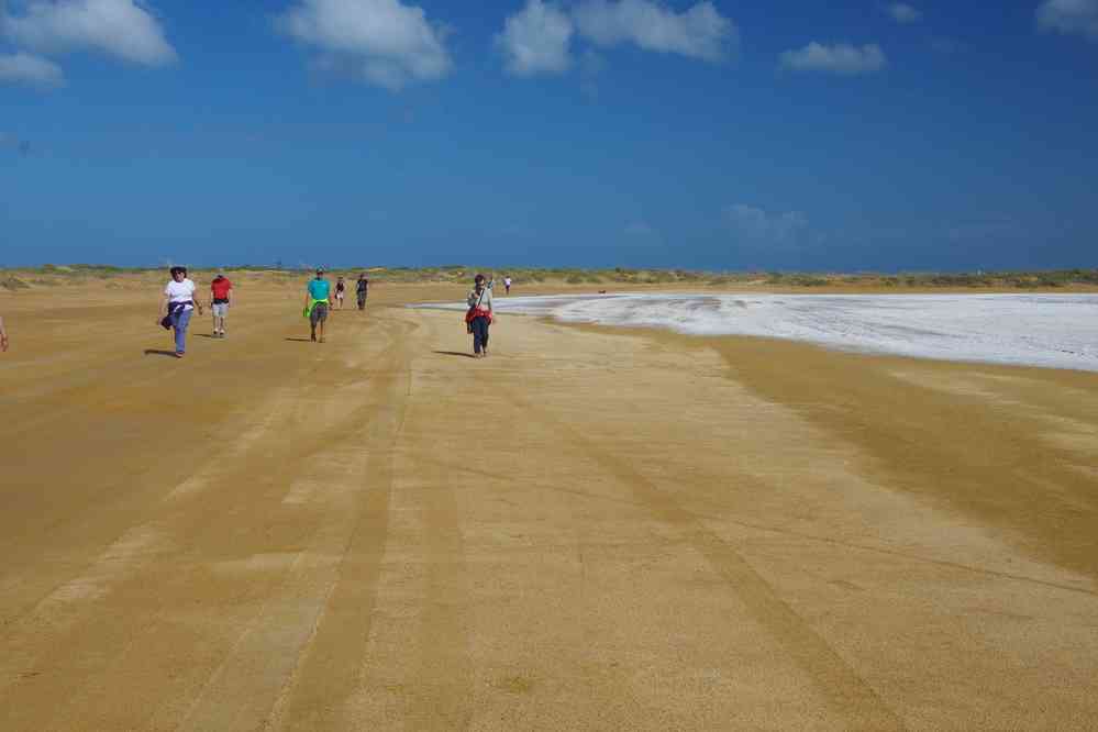 Balade (non prévue au programme) près du lac salé, le 28 janvier 2018