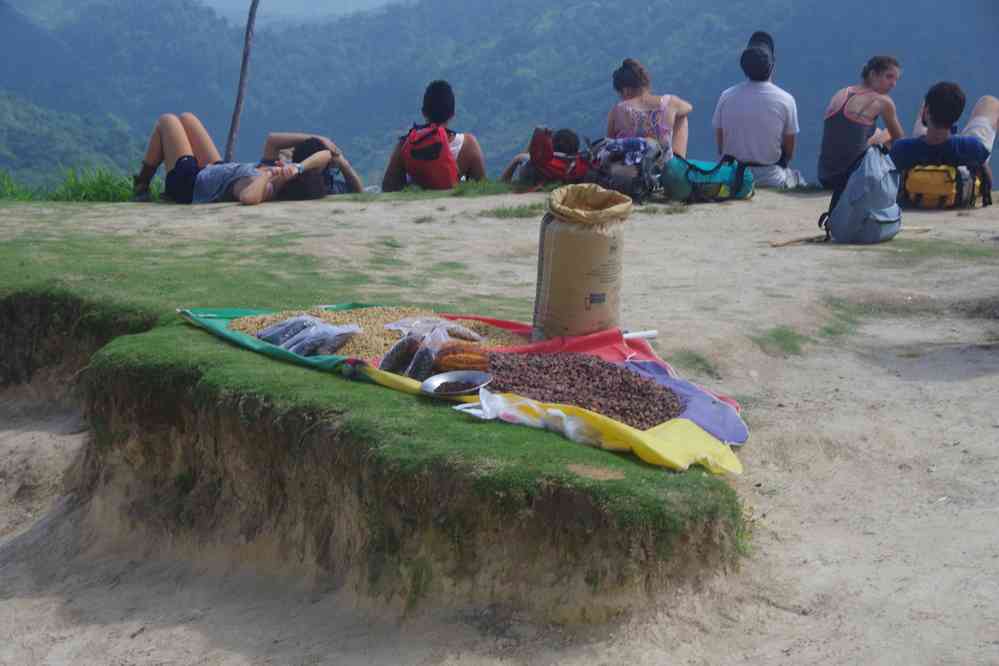 Les grains de café n’ont pas bougé depuis trois jours... (1ᵉʳ février 2018)