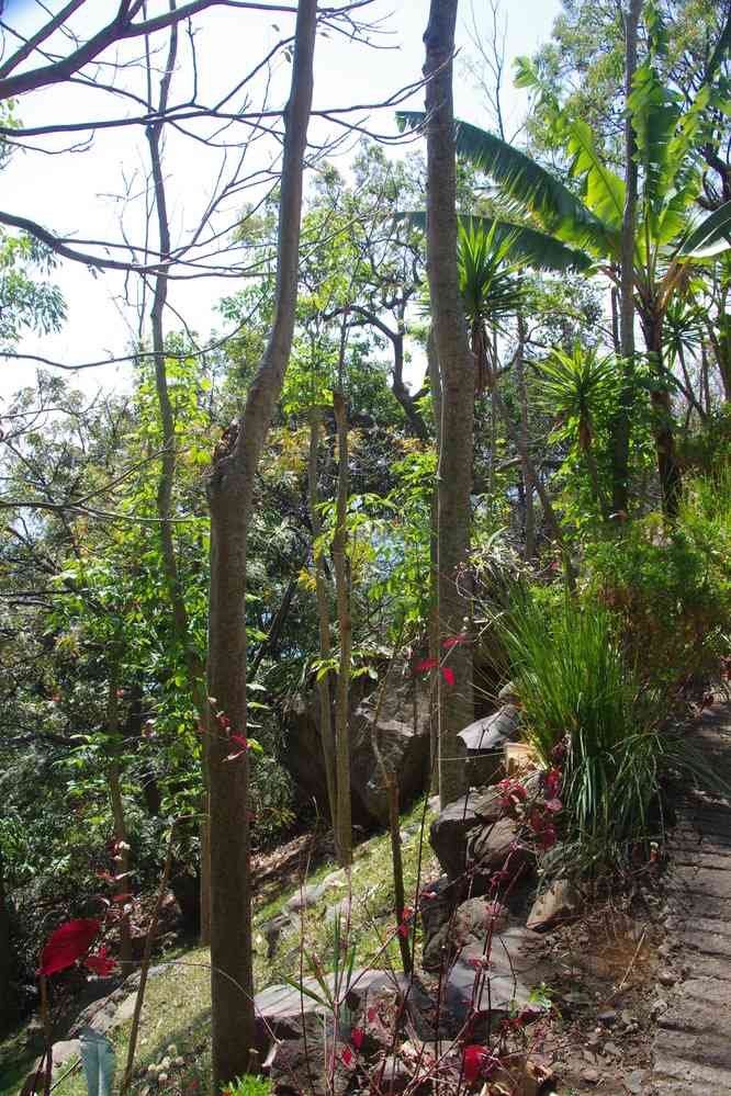 Randonnée sur les rives du lac Atitlán, le 12 février 2020