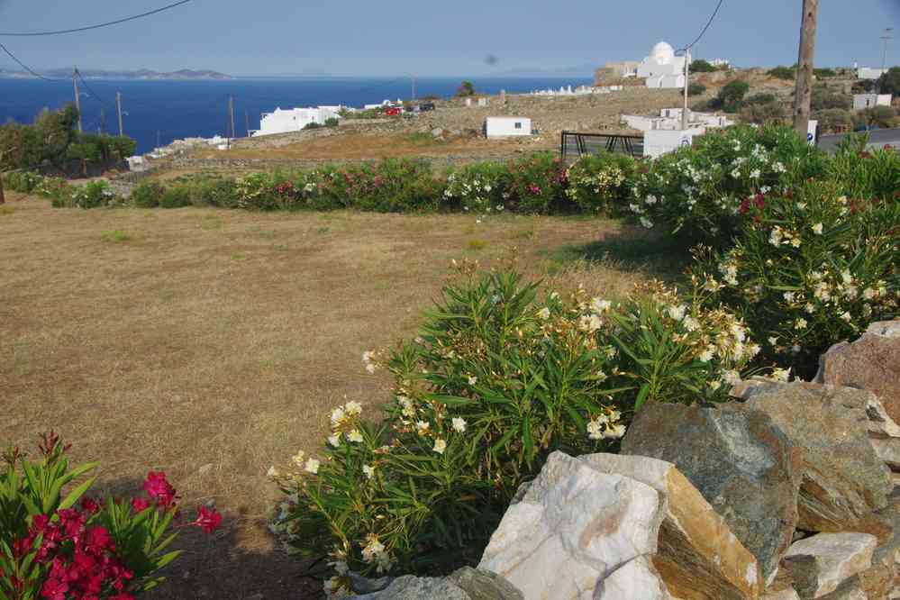 Siphnos (Ν. Σίφνος), en direction d’Apollonia (Απολλωνία), le 21 juin 2021