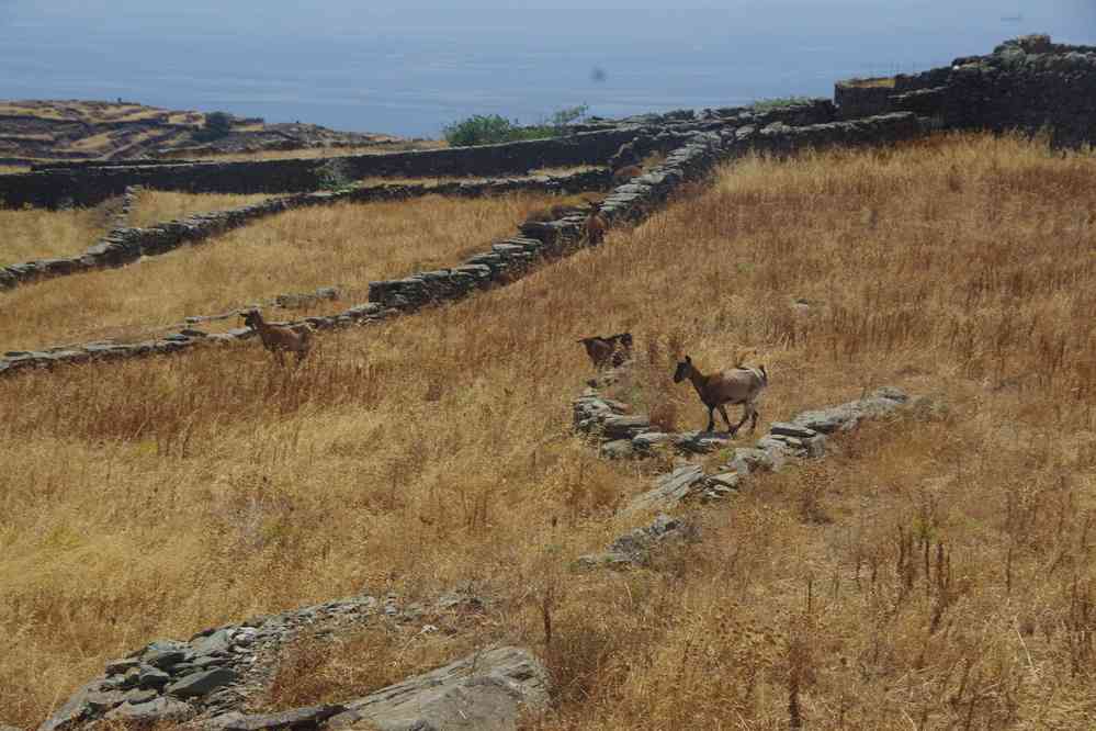 Siphnos (Ν. Σίφνος), en direction de la baie d’Apokofto, le 23 juin 2021