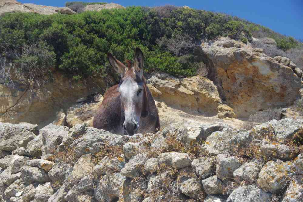 Kimolos (Ν. Κίμολος), le 28 juin 2021
