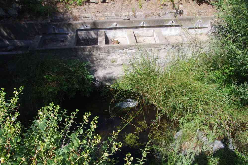 Sériphe (Ν. Σέριφος), descente vers la plage de Sykamia (Π. Συκαμιά). Ancien lavoir, le 30 juin 2021