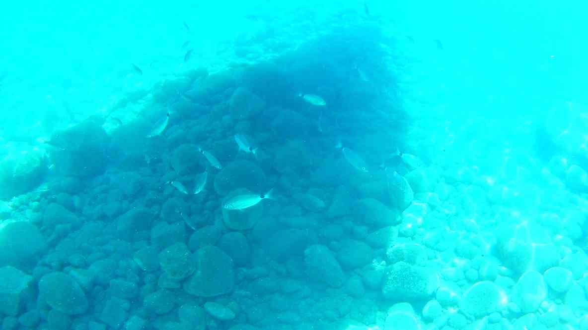 Milo (Ν. Μήλος), Sykia (Συκιά), le 27 juin 2021 (photo : Drougas Tours)