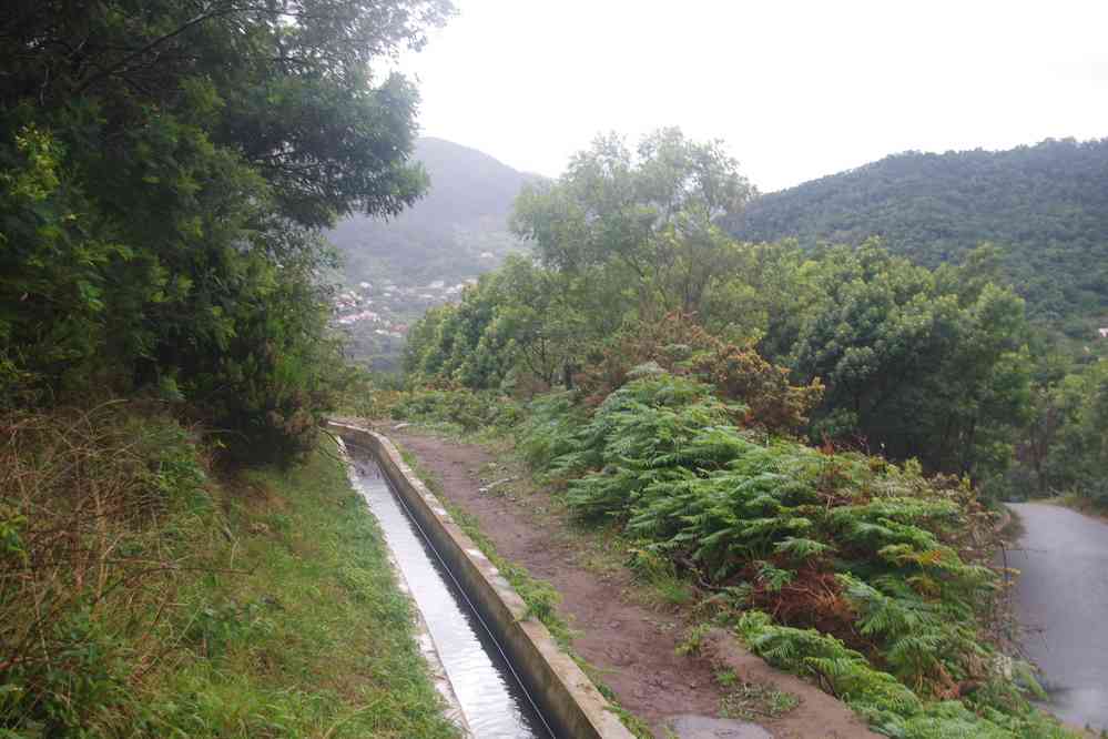 Levada de Caniçal, le 3 mai 2022