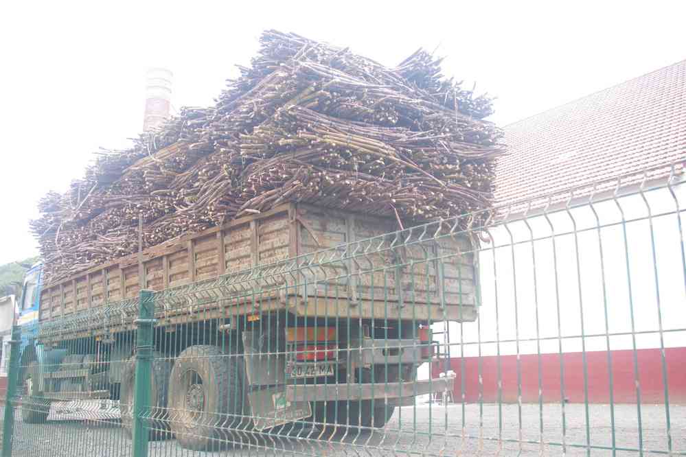 La distillerie de Porto da Cruz, le 3 mai 2022