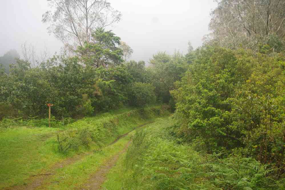 Début de randonnée à partir d’Ilha, le 4 mai 2022