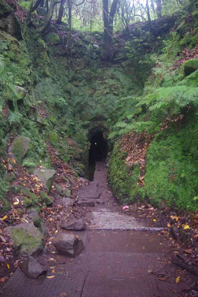 Premier tunnel sur la levada du Chaudron-Vert (Caldeirão Verde), le 4 mai 2022