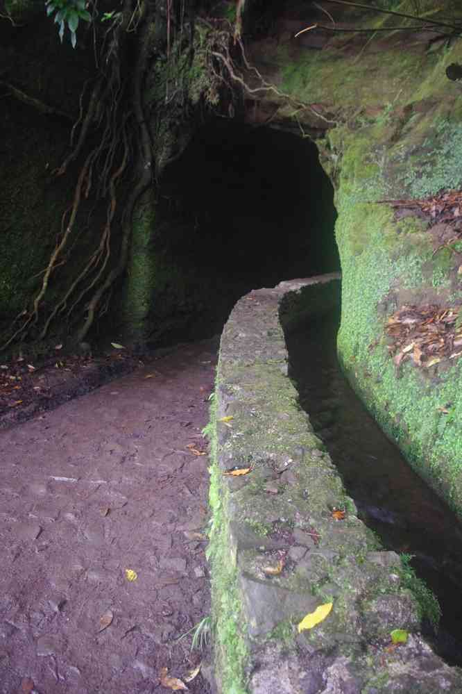 Premier tunnel sur la levada du Chaudron-Vert (Caldeirão Verde), le 4 mai 2022