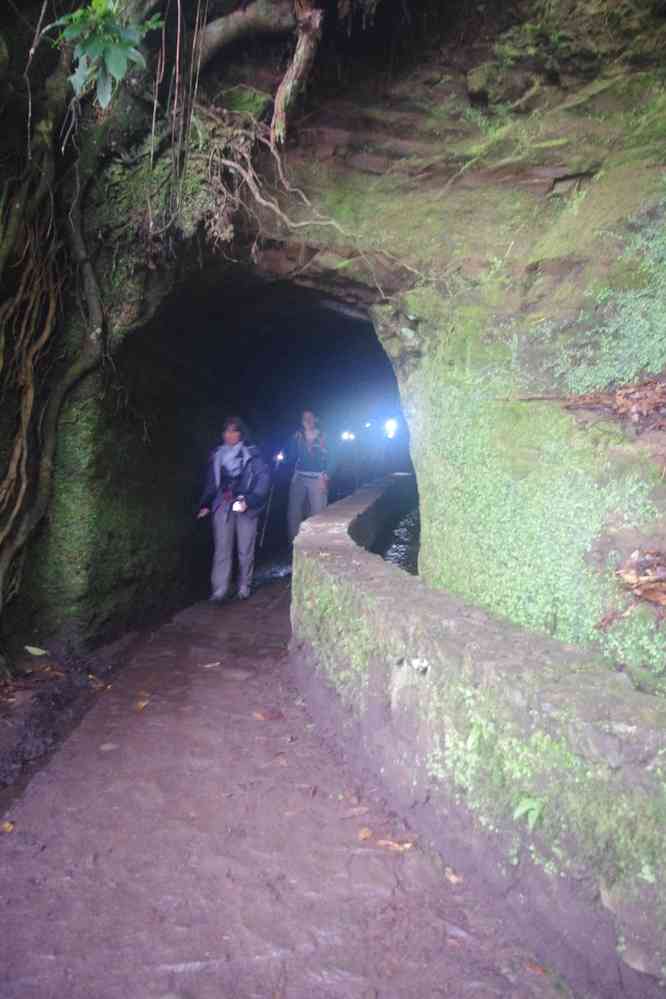 Premier tunnel sur la levada du Chaudron-Vert (Caldeirão Verde), le 4 mai 2022