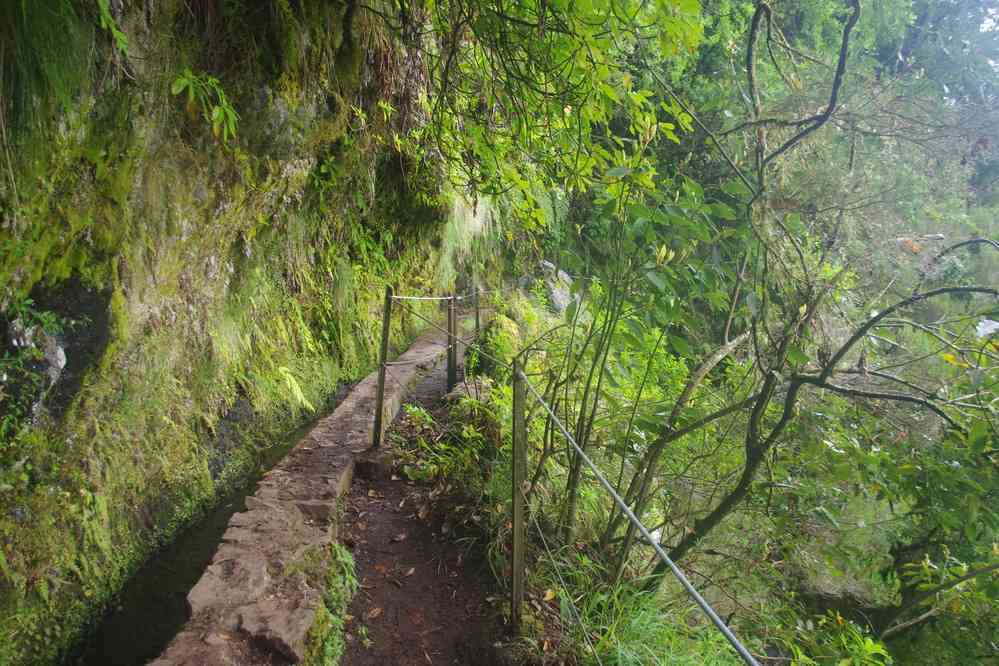 La levada du Chaudron-Vert (Caldeirão Verde), le 4 mai 2022