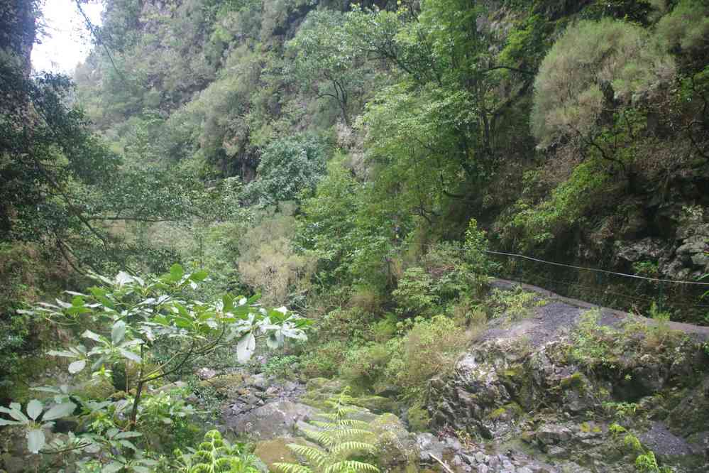 Levada du Chaudron-Vert (Caldeirão Verde), le 4 mai 2022