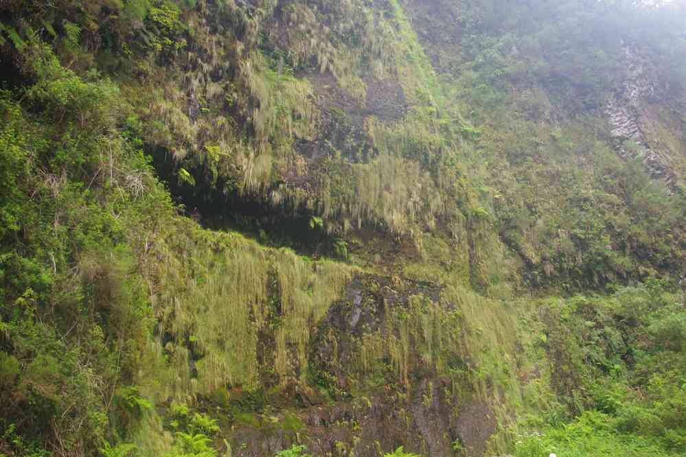 Levada du Chaudron-Vert (Caldeirão Verde), le 4 mai 2022