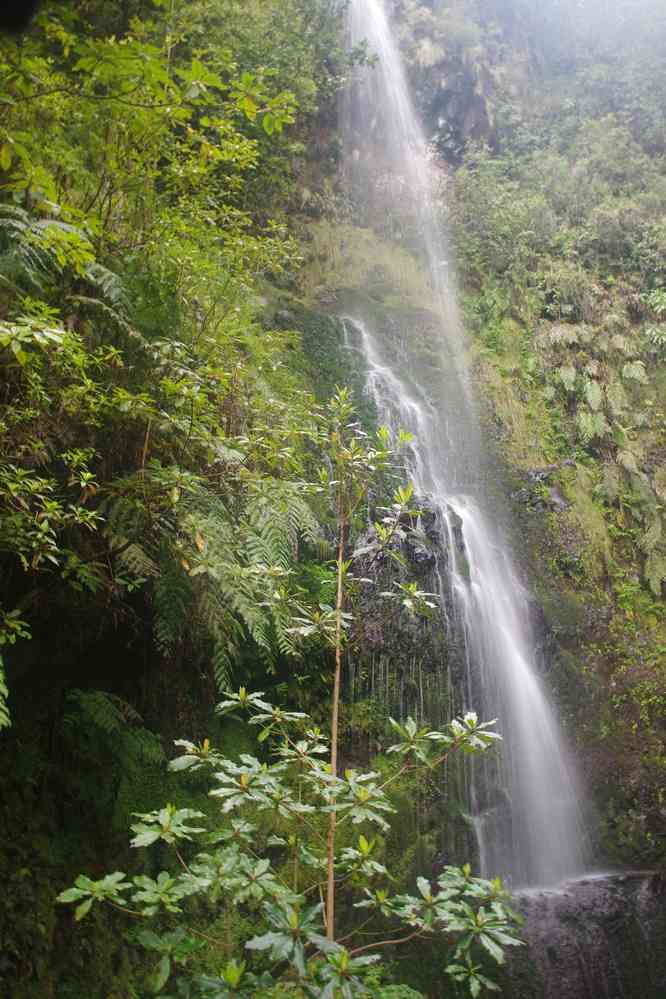 Près du Chaudron d’Enfer (Caldeirão do Inferno), le 4 mai 2022