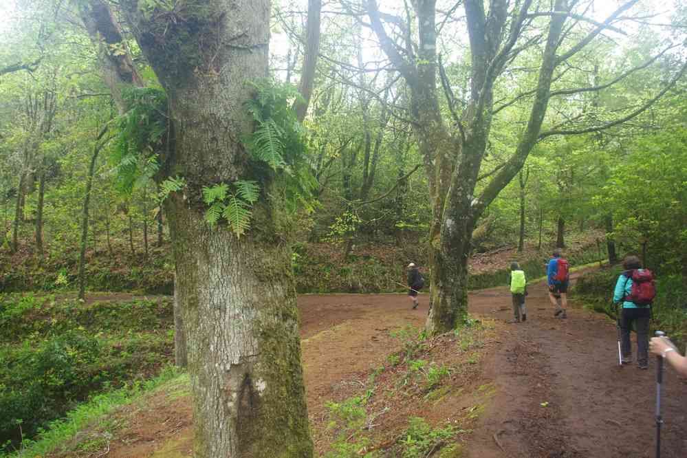 Casa das Queimadas, le 4 mai 2022