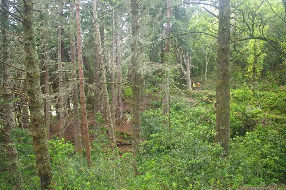 Casa das Queimadas, le 4 mai 2022