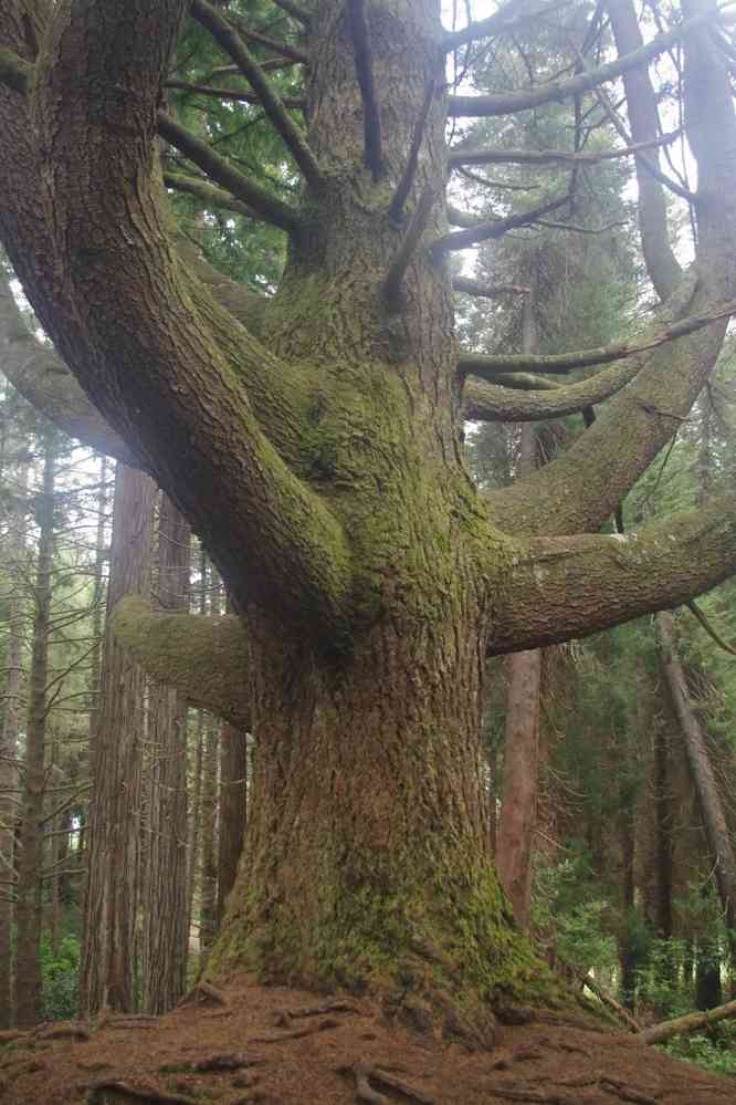 Casa das Queimadas, le 4 mai 2022