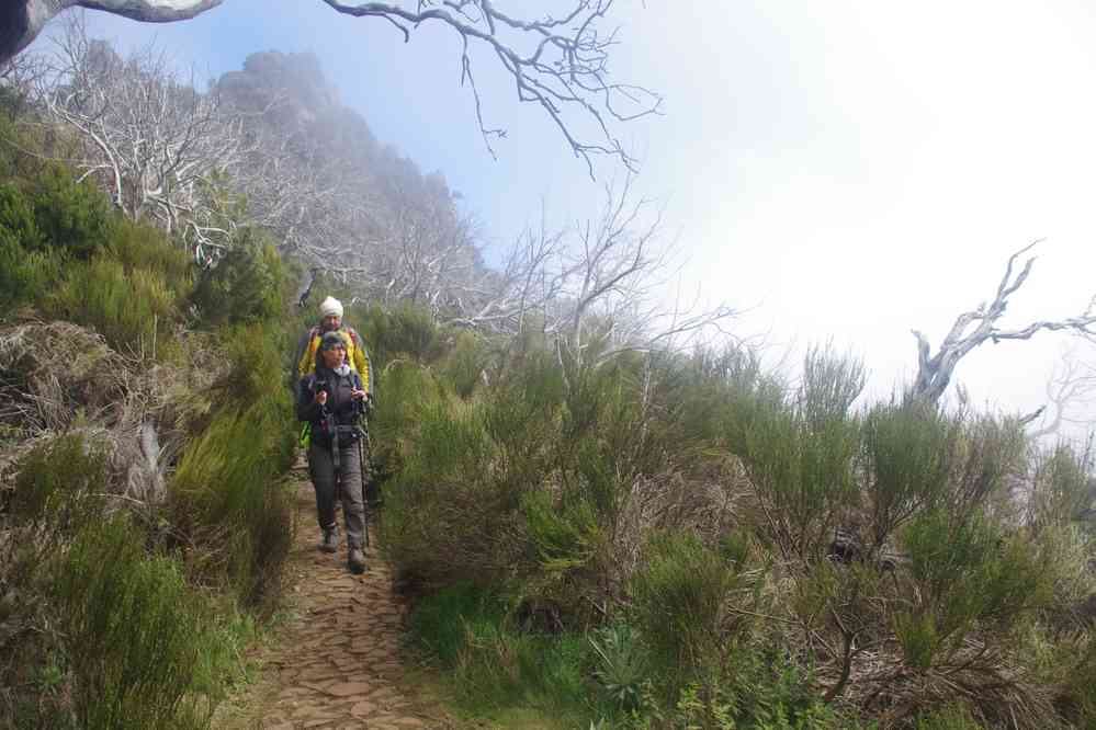 Du pico Ruivo au pico do Areeiro, le 5 mai 2022