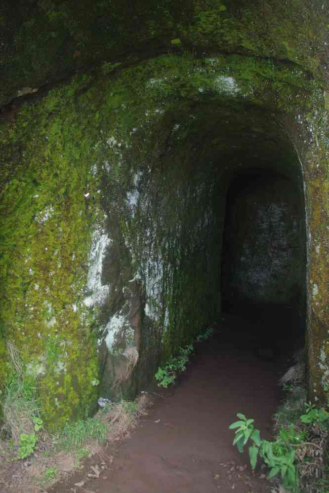 Du pico Ruivo au pico do Areeiro. Tunnel sur le sentier, le 5 mai 2022