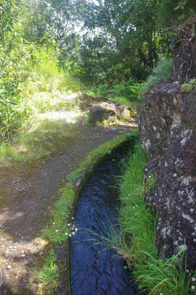 Levada dos Tornos, le 6 mai 2022