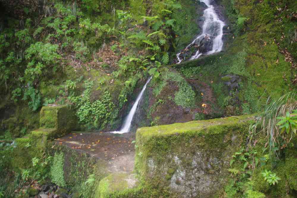 Levada dos Tornos, le 6 mai 2022