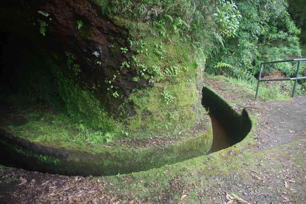 Levada dos Tornos, le 6 mai 2022