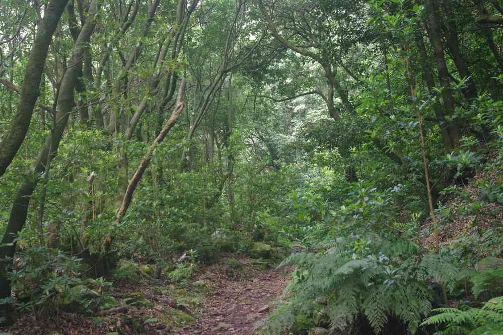 Criação de truta (vallée de Seixal), montée vers le plateau Paul da Serra, le 7 mai 2022