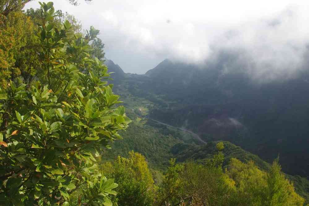 Montée vers le plateau Paul da Serra, le 7 mai 2022