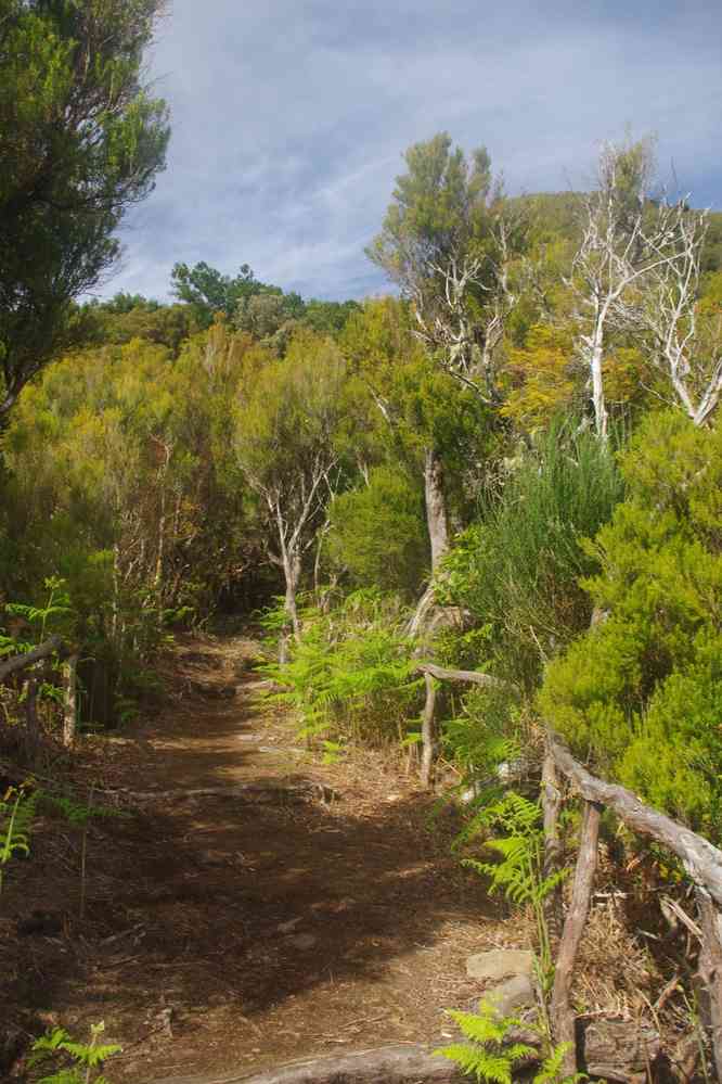 Randonnée sur le plateau Paul da Serra, le 7 mai 2022