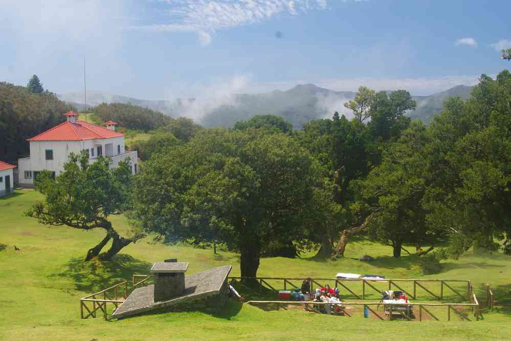 Fanal, sur le plateau Paul da Serra, le 7 mai 2022