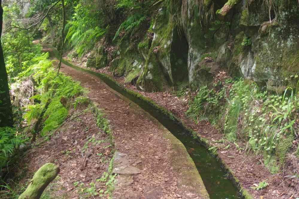 Randonnée le long de la levada dos Cedros, le 7 mai 2022