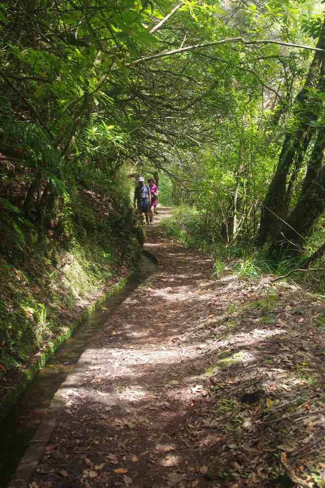 Randonnée le long de la levada dos Cedros, le 7 mai 2022