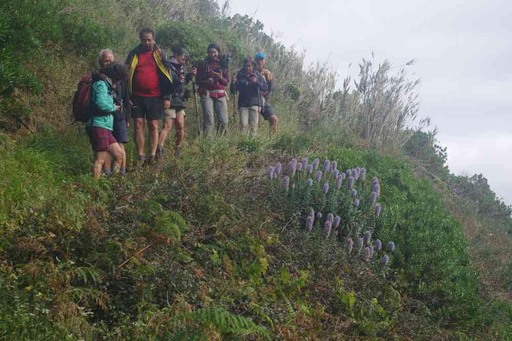 Descente vers Quebrada Nova, le 8 mai 2022