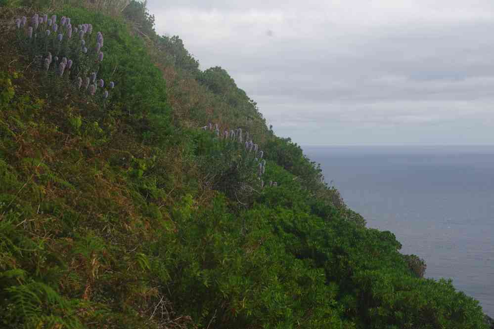 Descente vers Quebrada Nova, le 8 mai 2022